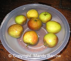 apple bobbing