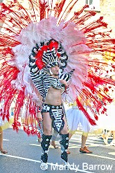 image: Carnival photo