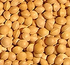 image; soya beans