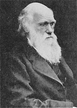 Darwin