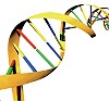 DNA