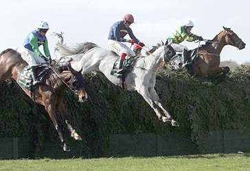 image: grand national