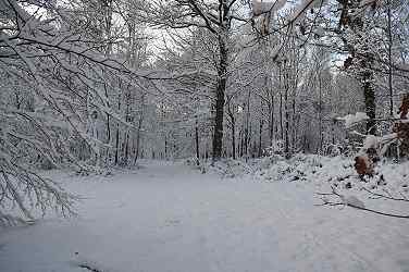 image: snow