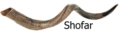 image: Shofa