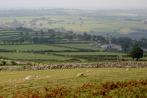 Dartmoor