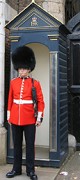 Guard