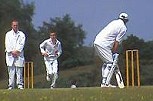 Cricket