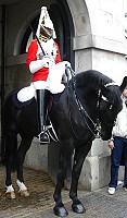 life guard on horse