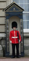 foot guard