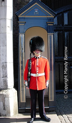 image: St James' Palace Guard
