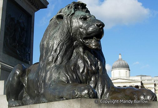 image: Lion