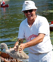 A Dyer's Swan Upper 